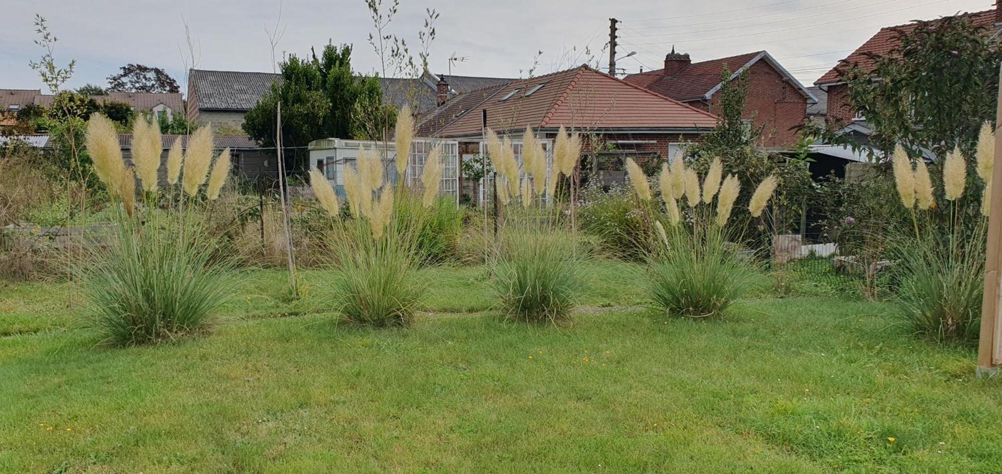 Maison Confortable, Terrasse Et Jardin A Amiens